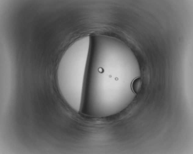 X0000113880750200909241026