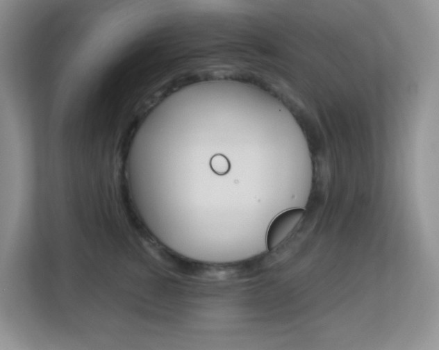 X0000113880760200909241026