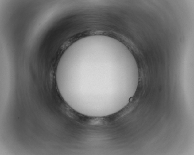 X0000113880761200909241026