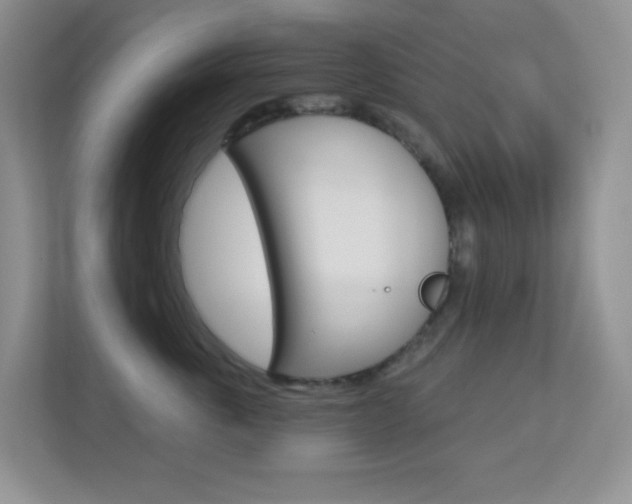 X0000113880763200909241026