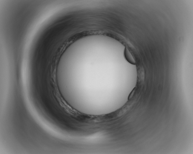 X0000113880764200909241026