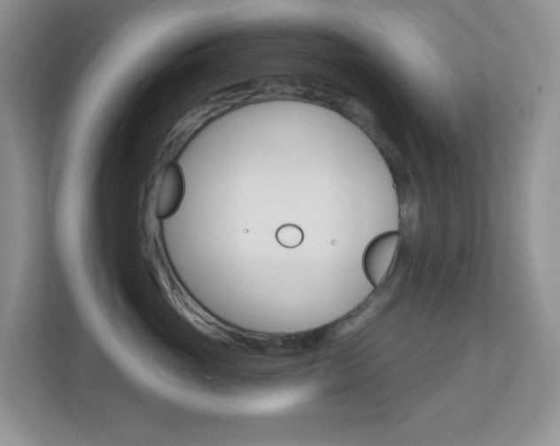 X0000113880765200909241026