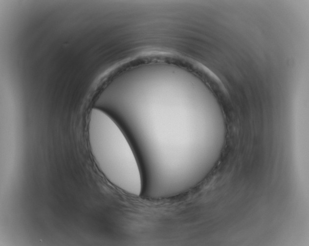 X0000113880775200909241025
