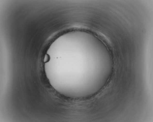 X0000113880776200909241025