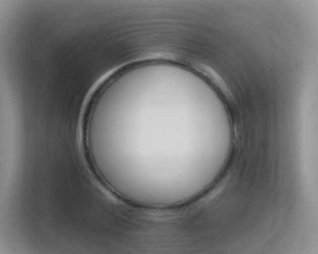 X0000113880780200909241025