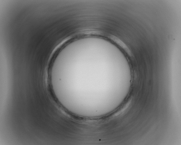 X0000113880782200909241025