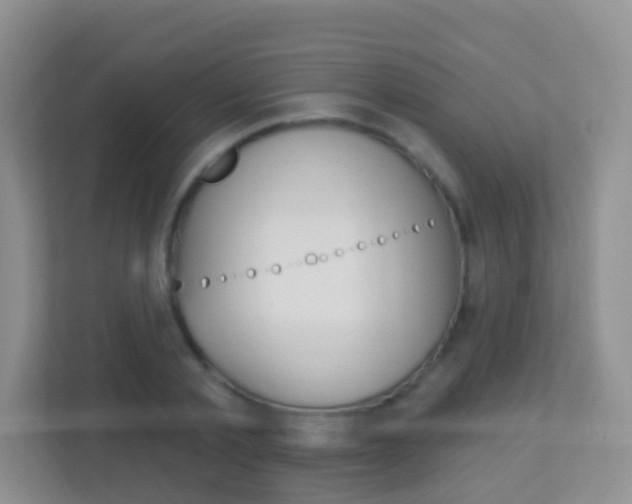 X0000113880789200909241025