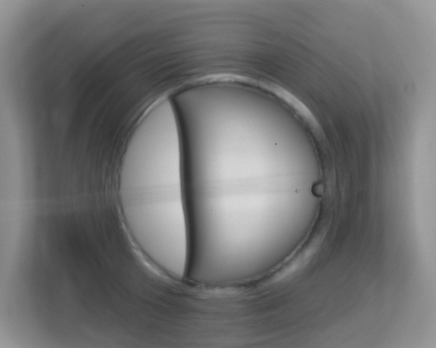 X0000113880801200909241025