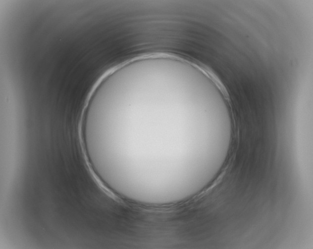 X0000113880805200909241025
