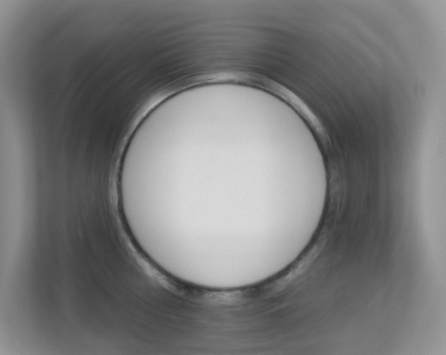X0000113880810200909241025