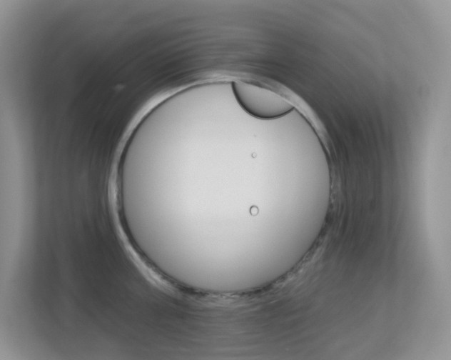 X0000113880811200909241025