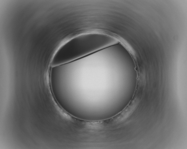 X0000113880813200909241025