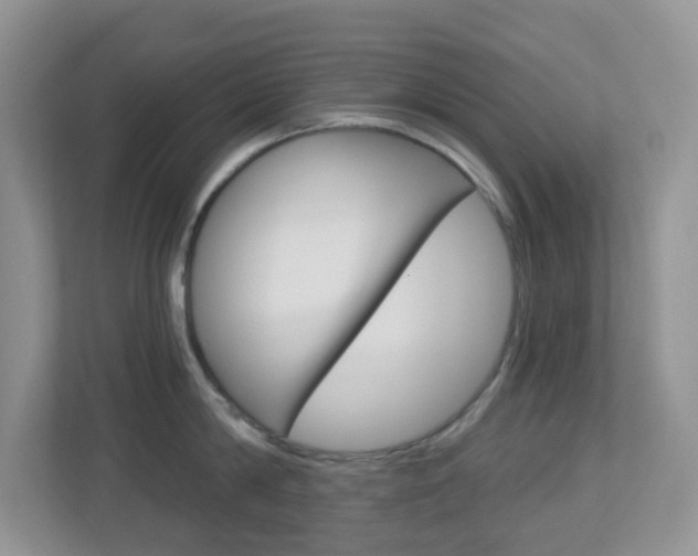 X0000113880814200909241025