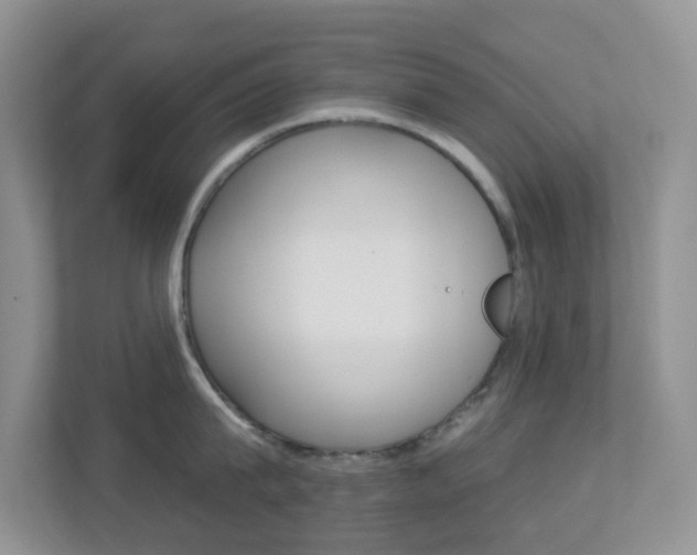 X0000113880815200909241025