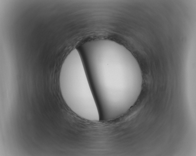 X0000113880818200909241024