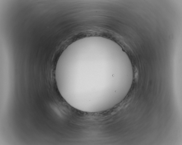 X0000113880819200909241024