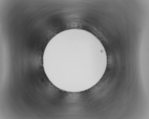X0000113880820200909241024
