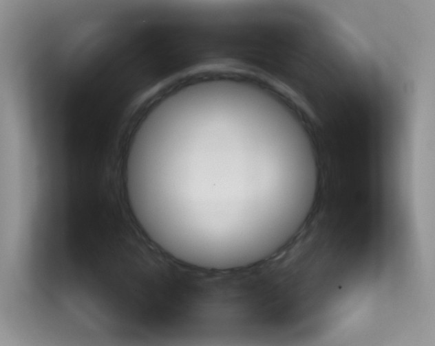 X0000113880822200909241024