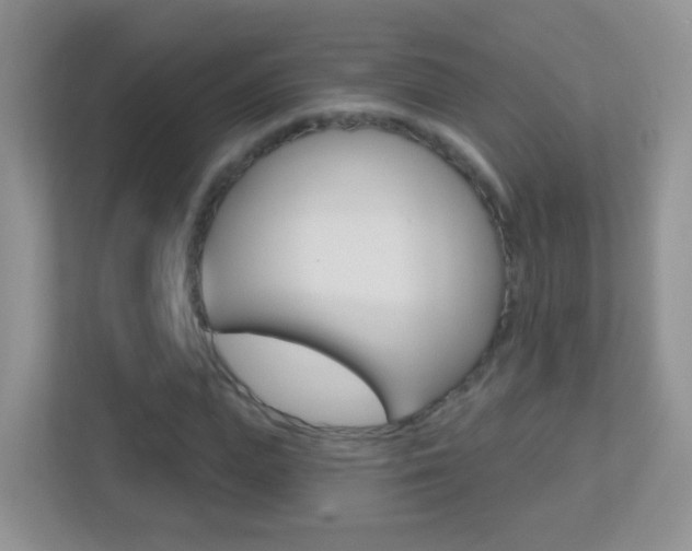 X0000113880823200909241024