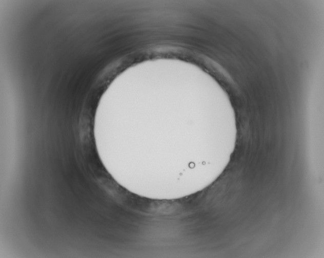 X0000113880824200909241024