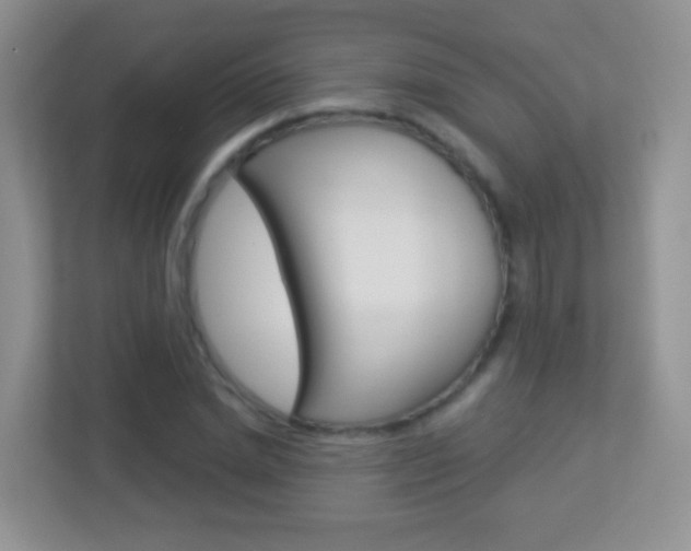 X0000113880830200909241024