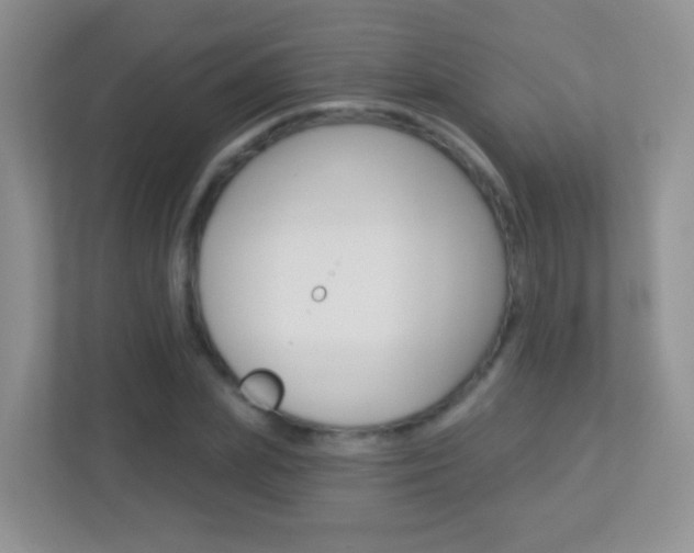 X0000113880831200909241024