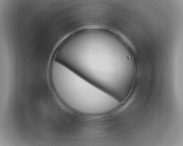 X0000113880837200909241025