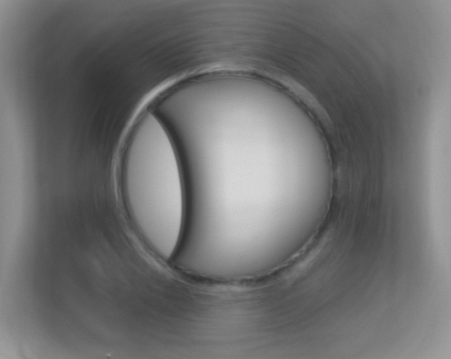 X0000113880838200909241025