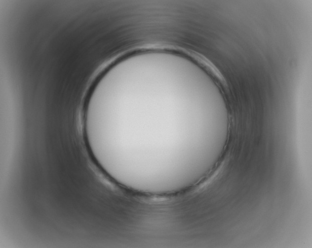 X0000113880839200909241025