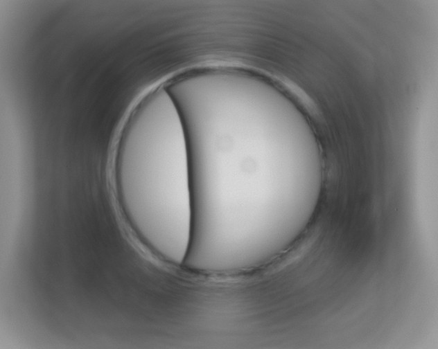 X0000113880840200909241025
