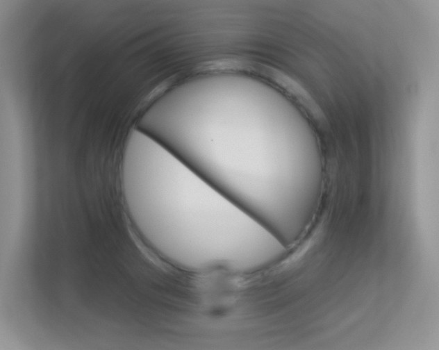 X0000113880841200909241025