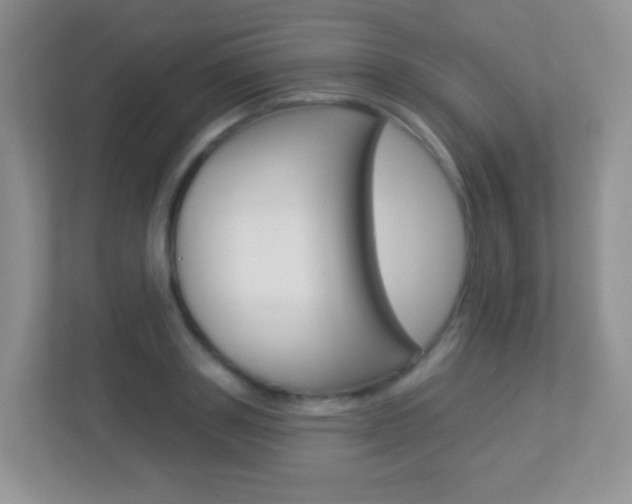 X0000113880843200909241025