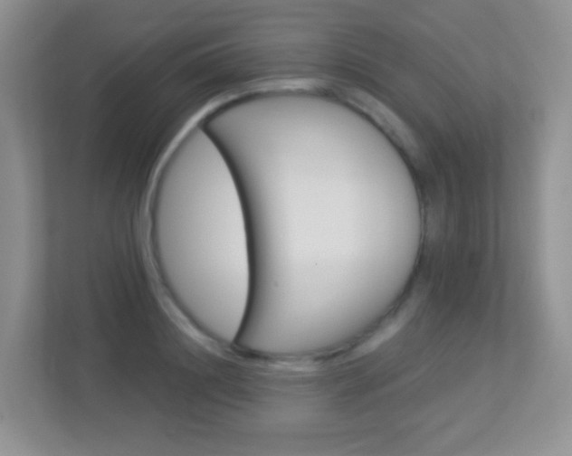 X0000113880844200909241025