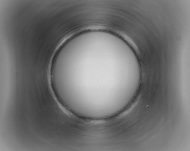 X0000113880845200909241025