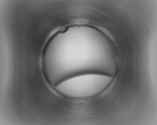 X0000113880846200909241025