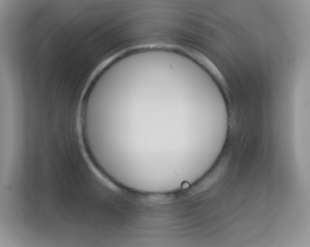 X0000113880847200909241025