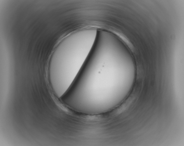 X0000113880850200909241025