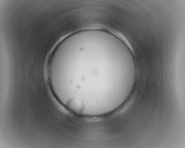 X0000113880851200909241025
