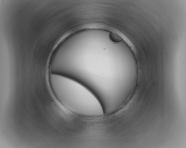 X0000113880853200909241025