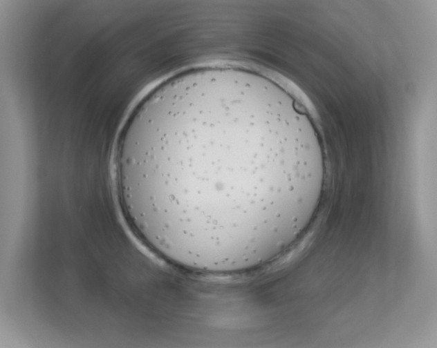 X0000113880855200909241025