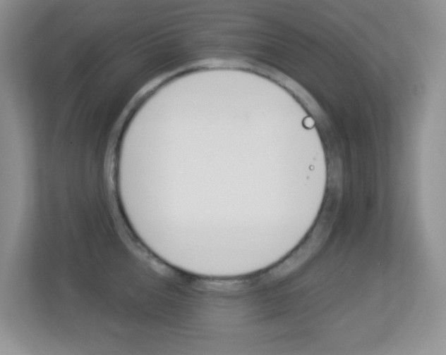 X0000113880856200909241025
