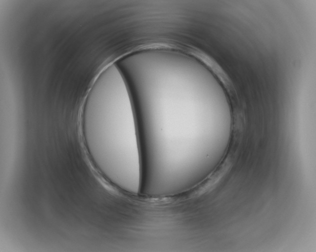X0000113880858200909241025