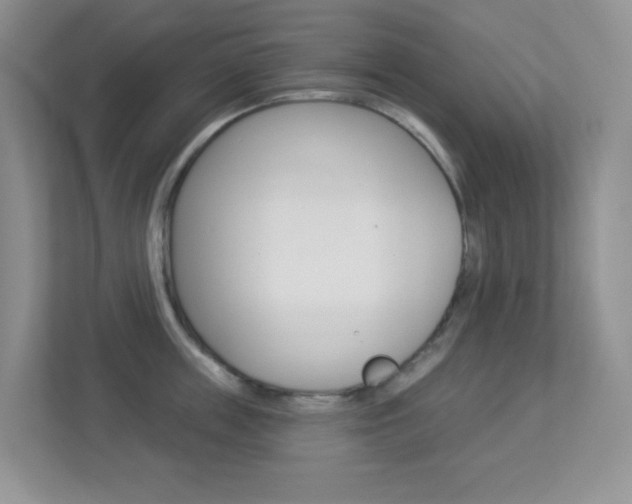 X0000113880859200909241025