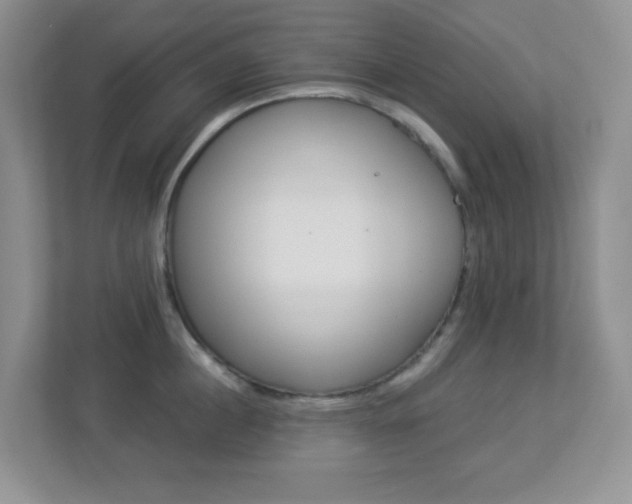 X0000113880860200909241025