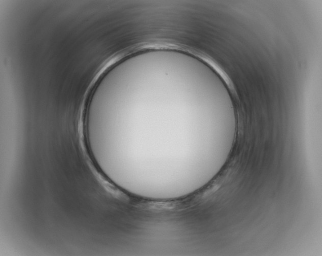 X0000113880861200909241025