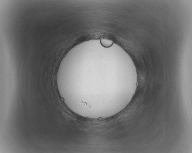 X0000113880865200909241024