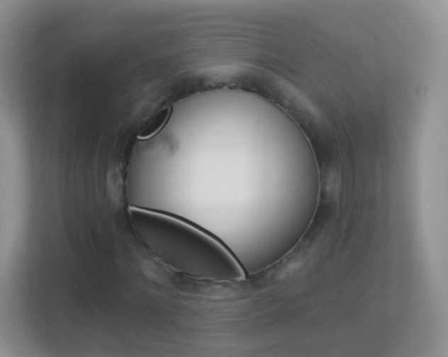 X0000113880868200909241024