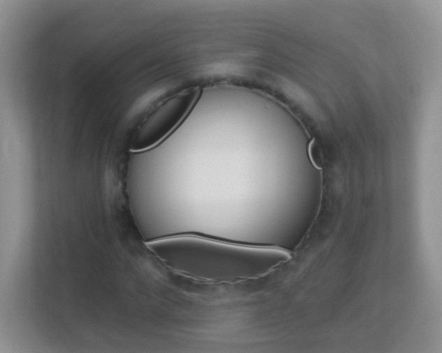 X0000113880872200909241024