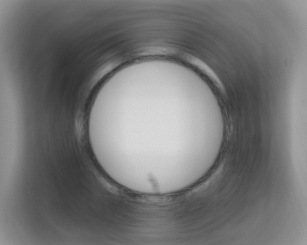 X0000113880874200909241024