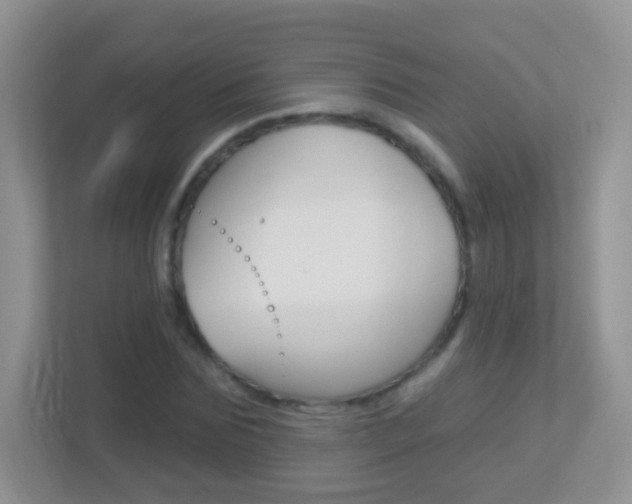 X0000113880875200909241024